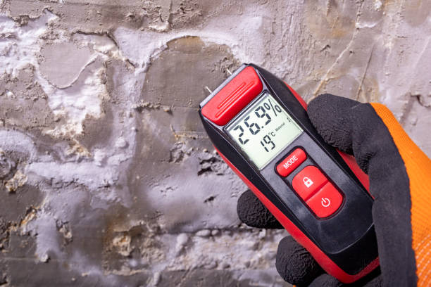 Best Local Mold Removal Service  in Presidential Lakes Estates, NJ
