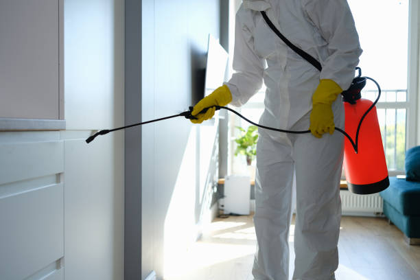 Mold Testing and Removal in Presidential Lakes Estates, NJ