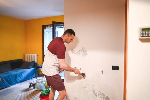 Trusted Presidential Lakes Estates, NJ Mold Removal Experts